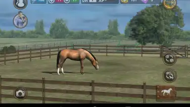 Screenshot von My Horse 8