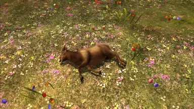 Screenshot von Deer Hunter Classic 4