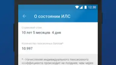 Screenshot von ПФР Электронные сервисы 3