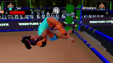 Screenshot von Tag Team Wrestling Games: Mega Cage Ring Fighting 11