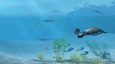Screenshot von Sharks VR 2