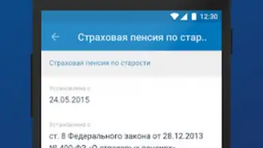 Screenshot von ПФР Электронные сервисы 2