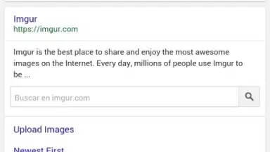 Screenshot von Ding Browser 2