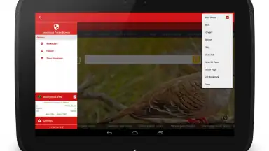 Screenshot von Anonymous Browser 4