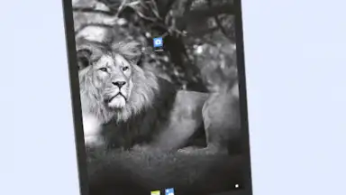 Screenshot von Android 13 Launcher 12