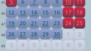 Screenshot von Простой Календарь Выходных РФ 6