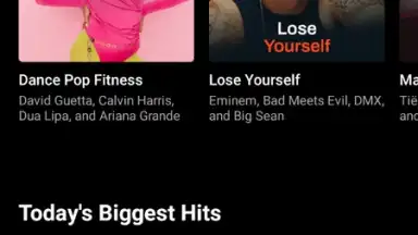 Screenshot von YouTube Music 14