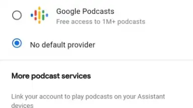 Screenshot von Google Home 2