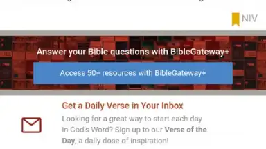 Screenshot von Bible Gateway 1