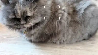 Screenshot von Camera Go 12
