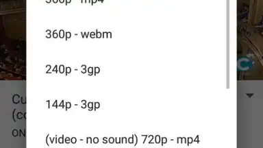 Screenshot von VidCatch 3