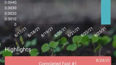 Screenshot von Fasting Time 7