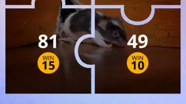 Screenshot von 100 PICS Puzzles 5