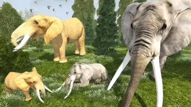 Screenshot von Wild Elephant Simulator 2