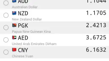 Screenshot von Daily Currency Rates 1