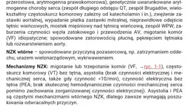 Screenshot von eMPendium 1