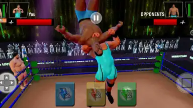 Screenshot von Tag Team Wrestling Games: Mega Cage Ring Fighting 2