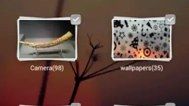 Screenshot von GO Media Manager 2