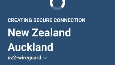 Screenshot von Mullvad VPN 3