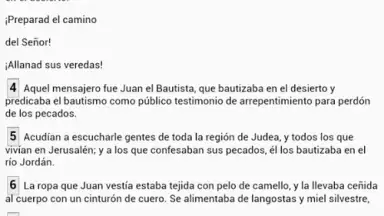 Screenshot von Biblia Castellano Castilian 4