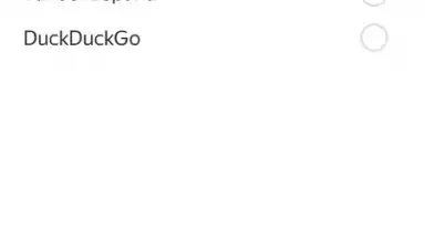 Screenshot von Yandex Browser 20