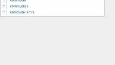 Screenshot von Reverso Translation Dictionary 6