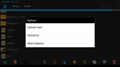 Screenshot von Intelligent Explorer Pro 12