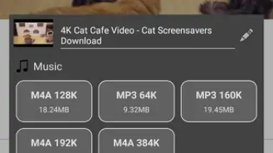Screenshot von Stellar Browser 1