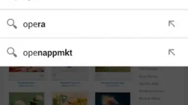 Screenshot von Opera Browser 15