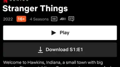 Screenshot von Netflix (Android TV) 2