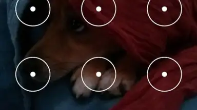Screenshot von Droid Protector 3