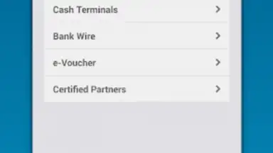 Screenshot von Perfect Money 2