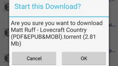 Screenshot von YouTorrents 6