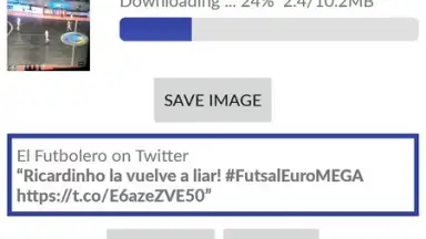Screenshot von Video Downloader for Twitter 2