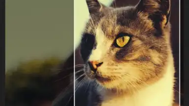 Screenshot von POMELO Camera 8