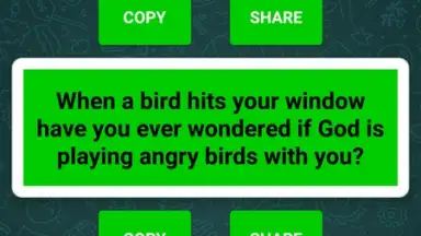 Screenshot von WhatsTap 2