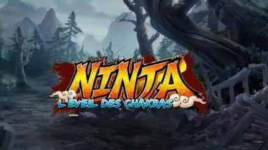 Screenshot von Ninja 1