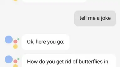 Screenshot von Google Assistant 3
