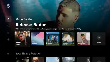 Screenshot von Spotify for Android TV 5