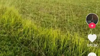 Screenshot von TikTok Lite 20