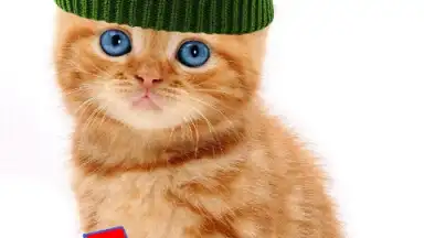 Screenshot von Talking, Dancing Cat. 9