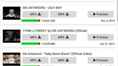 Screenshot von YT3 Music Downloader 1