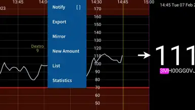 Screenshot von Juggluco 1