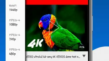 Screenshot von Fast Youtube Downloader 8