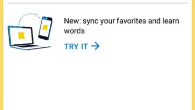 Screenshot von Yandex Translate 3