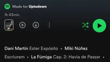 Screenshot von Spotify 12