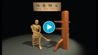 Screenshot von Wing Chun Trainer 1