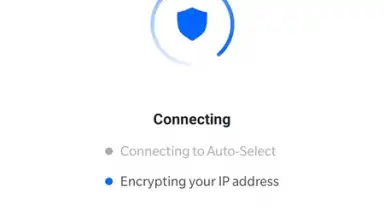 Screenshot von DeerShield - Free VPN 5