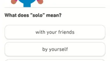 Screenshot von Duolingo 2