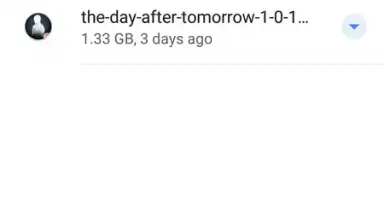 Screenshot von Files by Google 8